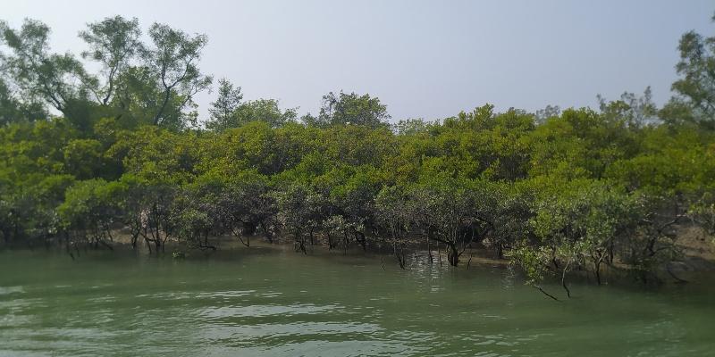 Read more about the article SUNDARBAN TRAVEL DIARY