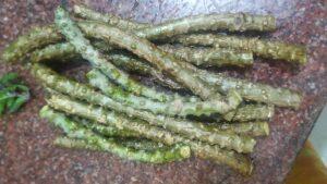 Giloy plants stem