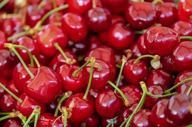 Read more about the article How to grow cherry plant from cherry seeds