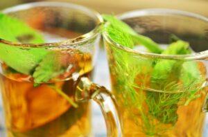 Read more about the article Mint plant Benefits, care and side effects