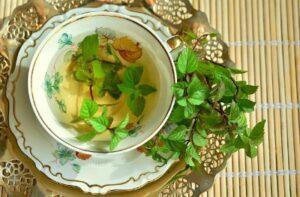 Fresh mint tea Mint/pudina tea