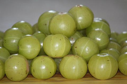 amla fruits