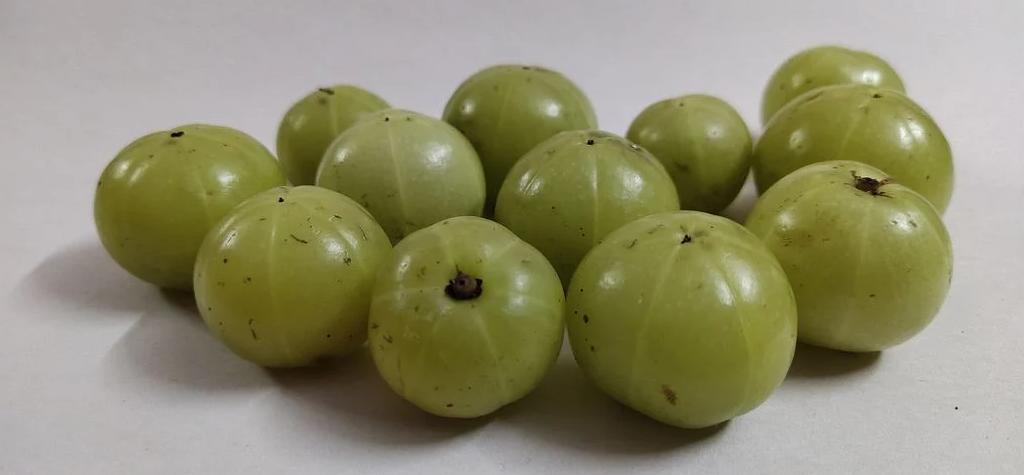 Read more about the article 10 Biggest side effects of Amla/Indian gooseberry