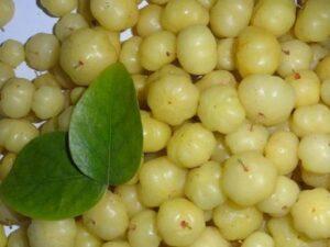 side effects of amla