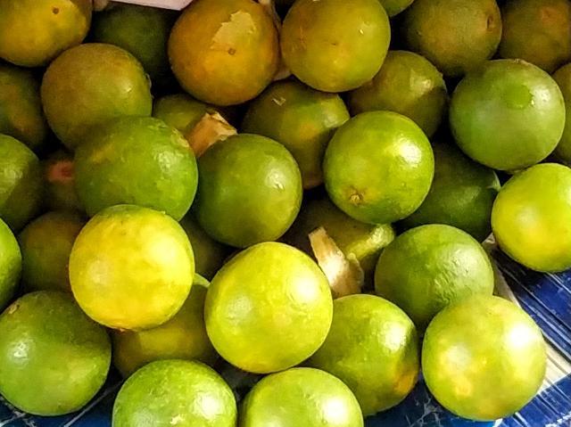 Sweet lemon or Mausambi