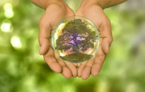 Read more about the article Global warming is one of the biggest issues