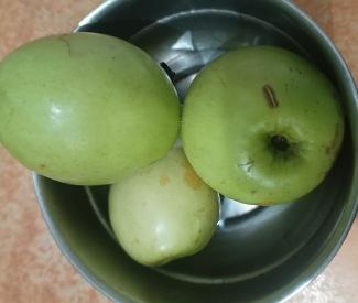 Health Benefits and side effects of Indian plum or jujube